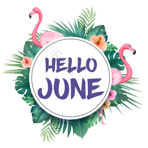 JUNE 六月 英文 艺术字 HELLo 植物 你好