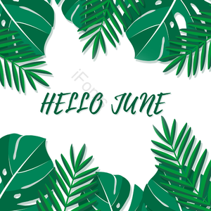 HELLO JUNE 六月 你好 植物 绿色 英文 艺术字