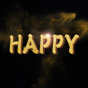 HAPPY 大气 立体 质感