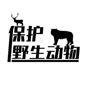 艺术字 保护动物