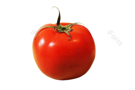 番茄 田园 食物 摄影 健康