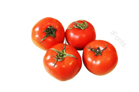 番茄 蔬菜 田园 西红柿 实物 真实 健康