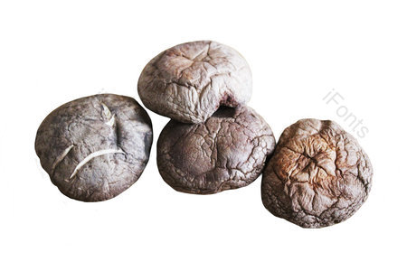 香菇 干香菇 食材 食物 厨房 健康