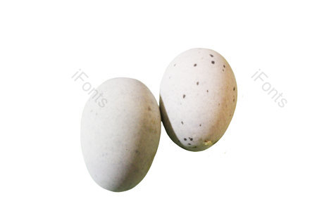 皮蛋 蛋 食物 食材 厨房 健康