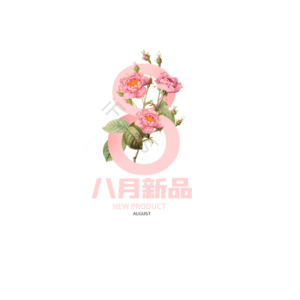 8月 新品 原创 创意 艺术字