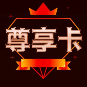 尊享卡 金色 立体效果 艺术字