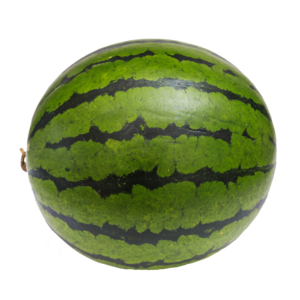 西瓜 夏季 冰凉 整个的 一个 健康