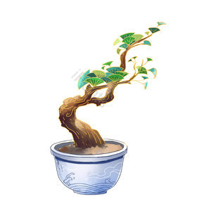 盆栽 松树 盆景 树木 国潮 花盆 中国