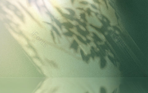 光影 阴影 文艺 清新 简约  春天 春季