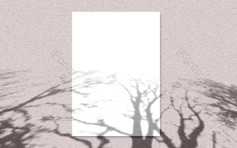 光影效果 阴影 文艺 清新 简约