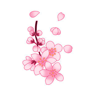 桃树 桃花 中国风 花朵 古风 立春 春季 花瓣