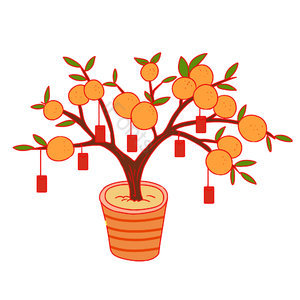 橘子 橘子树 大吉大利 新年 过年