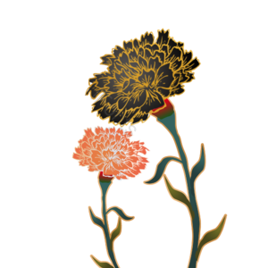 植物元素 植物素材 植物装饰 花朵 花朵元素 花朵素材 花朵装饰 花朵纹理