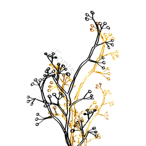 金色植物 植物元素 植物素材 植物装饰 金纹 纹理元素 卡通纹理 纹路