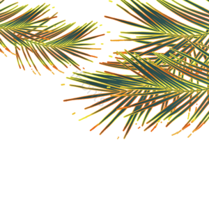 国潮 国潮元素 国潮素材 国潮装饰 植物 植物元素 植物素材 芭蕉叶