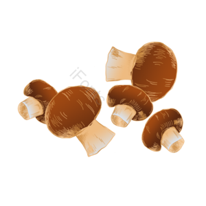 菌菇 菌菇元素 菌菇素材 菌菇装饰 蘑菇 蘑菇元素 蘑菇素材 蘑菇装饰