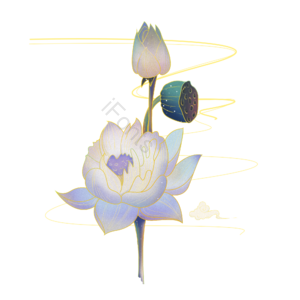 中国风 国潮 复古 创新 梦幻 莲花 素雅