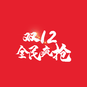 双12 全民疯抢 字体设计 大气 简约