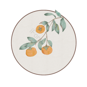 水彩 柿子 事事如意 柿柿如意 中国风 手绘 清新 