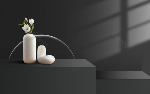 简约 大气 花瓶元素 奢华 光影 空间