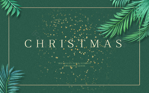 绿色磨砂 圣诞 平安夜 斑点 绿叶 卡片式背景  春天