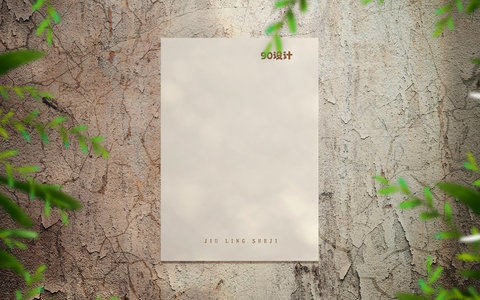 灰色墙面 墙裂效果 破旧效果 光效 光影 树叶 花草 质感