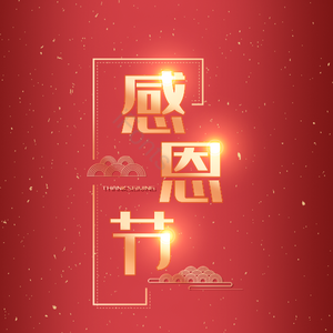 感恩 钜惠 电商 设计 字体