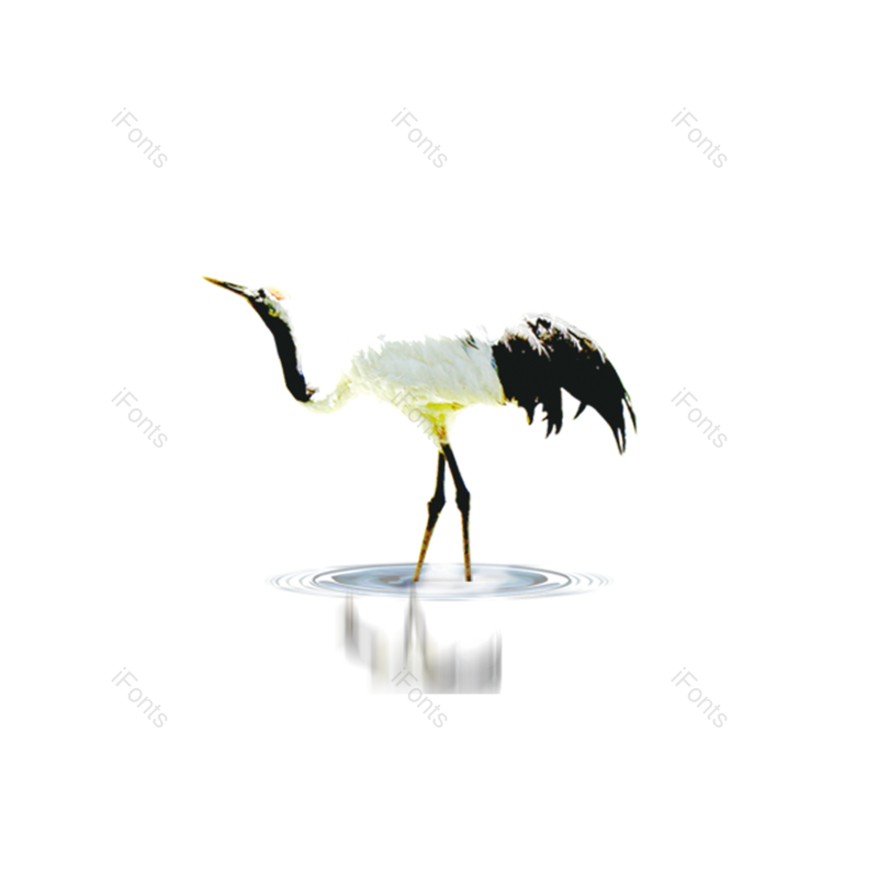 仙鹤图片,元素,PNG,免抠素材