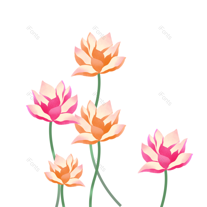 荷花图片,花朵元素,花朵素材PNG,中国风装饰免抠素材