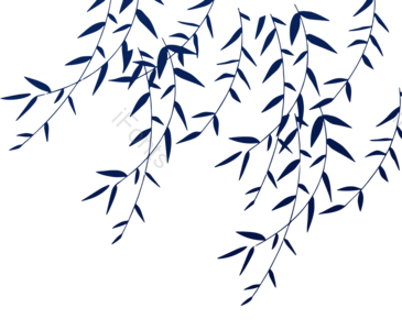 树叶 柳叶 传统 节气 山水