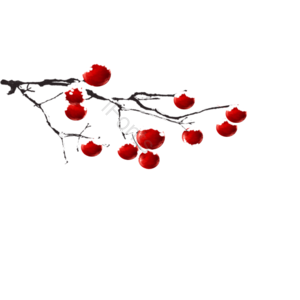 元素 果实 中国风 红色 免抠 古风 工笔画 工笔