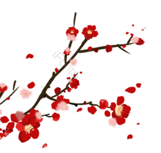 梅花 中国风 水墨  树枝 风 水墨树