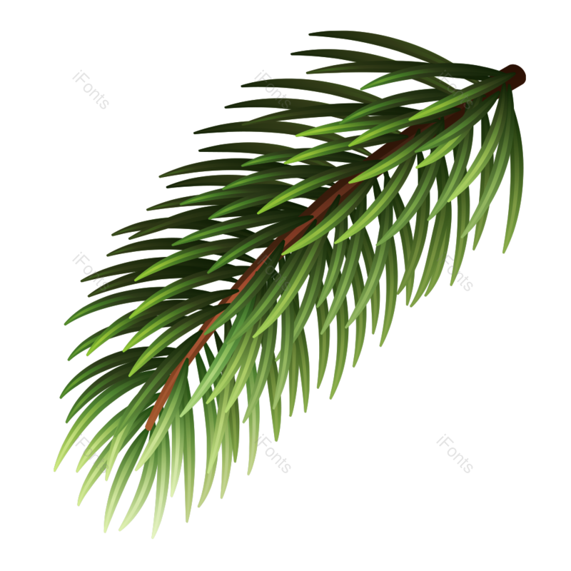 绿色图片,圣诞元素,PNG,免抠素材