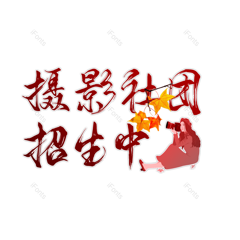 摄影图片,元素,PNG,免抠素材