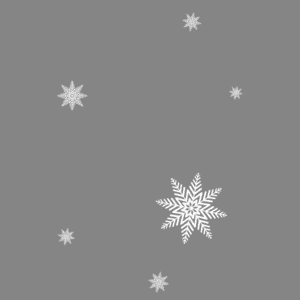 冬季 白色 简约 扁平化 雪花