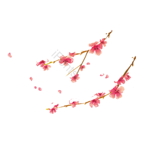 桃树 桃花 中国风 手绘花 冬季装饰 新年 立春 春季