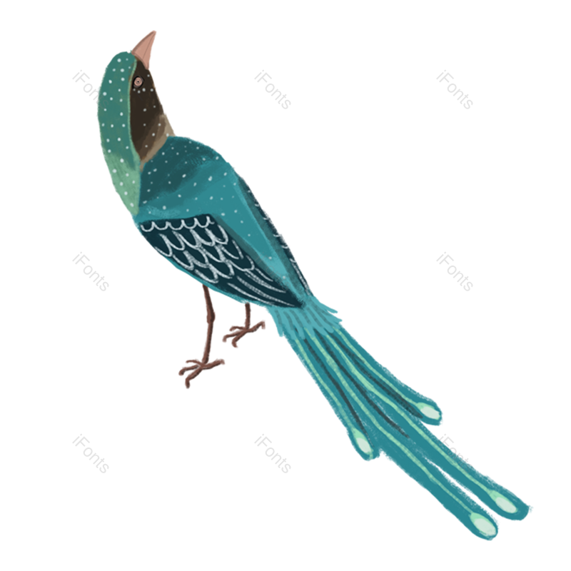 插画图片,小鸟元素,卡通风PNG,免抠素材