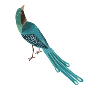 国风元素 小鸟 时尚唯美 卡通风 插画