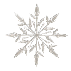 雪花 圣诞节