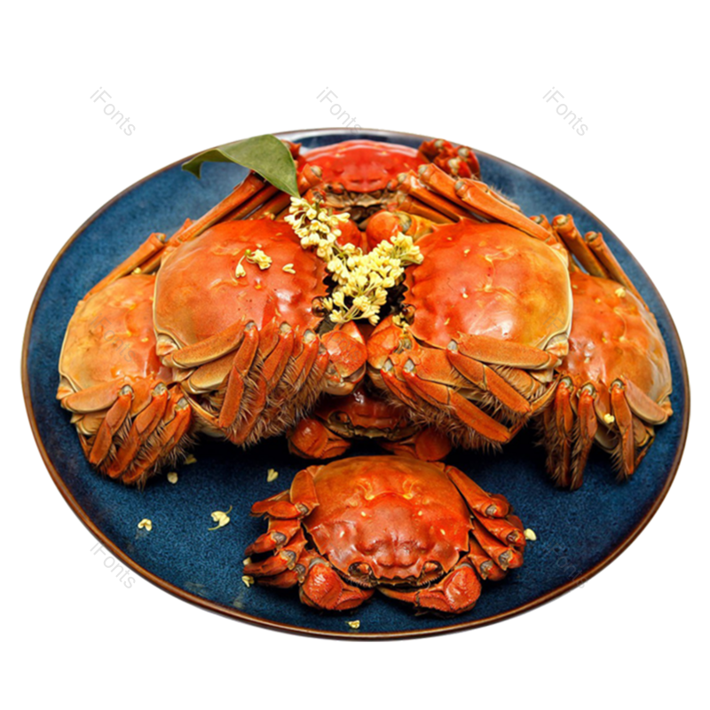 螃蟹图片,元素,PNG,免抠素材