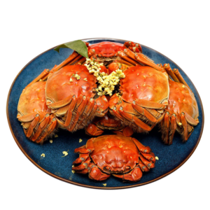 大闸蟹 螃蟹