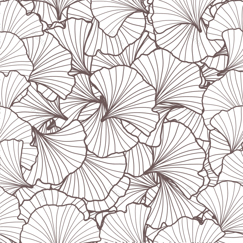 中国风图片,现代元素,简约线条PNG,植物线条免抠素材