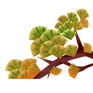 传统 美食 png 插画 大气