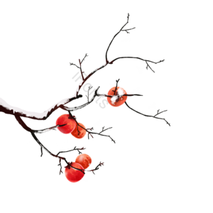 果树元素 果树素材 果树装饰 果实 果实元素 果实素材 果实装饰 树枝