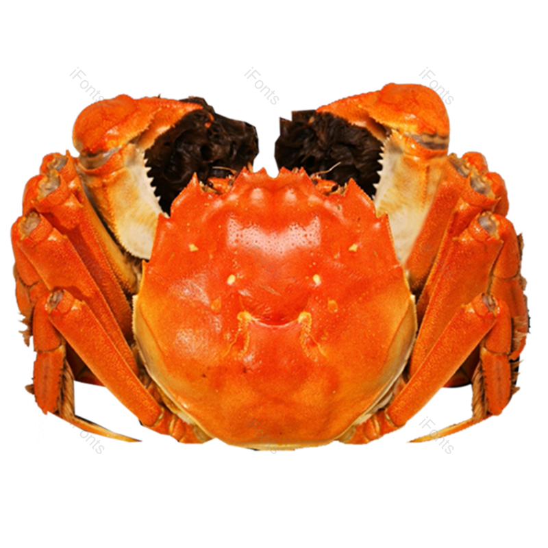 螃蟹图片,元素,PNG,免抠素材
