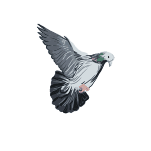 手绘风 冬季冬天 冬季 冬天 树林场景 树林 场景设计元素