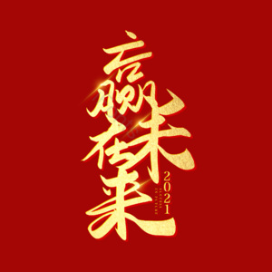 新年 年会 赢战未来 赢在未来