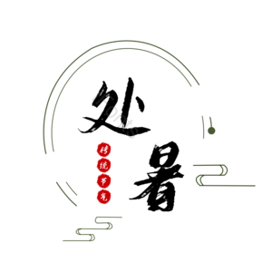 传统 节气 处暑 大气 简约
