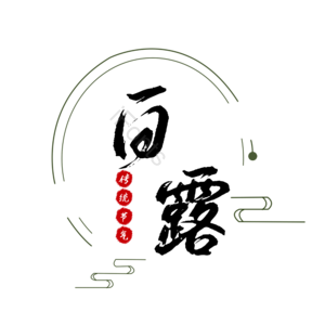 白露 简约 大气 传统 节气