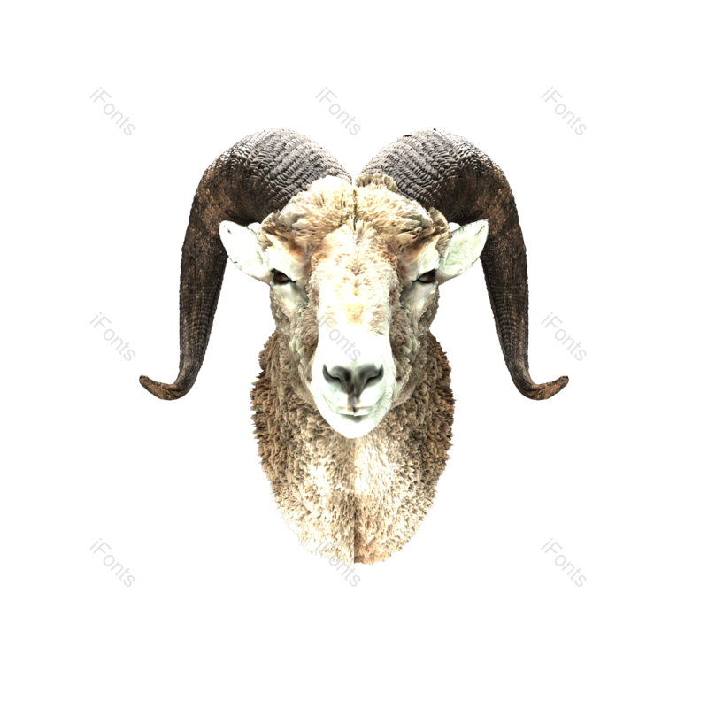 装饰图片,元素元素,动物PNG,免抠素材